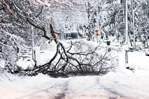 A fallen tree branch blocks a road in Great Falls, Virginia, just outside Washington A fallen tree branch blocks a road in Great Falls, Virginia, just outside Washington