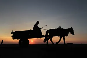 A farmer rides his horse after finishing his days work as the sun sets in the outskirts A farmer rides his horse after finishing his days work as the sun sets in the outskirts