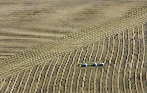 Farmers field during harvest in Manitoba Farmers field during harvest in Manitoba