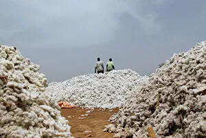 Bobo Dioulasso Gallery: Farmers work at a cotton market in Soungalodaga village near Bobo-Dioulasso