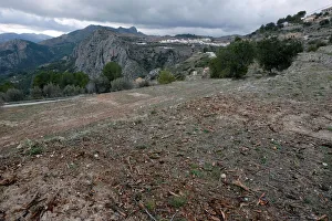 Empty fields of grinded down almond trees are shown in a quarantine area around a tree Empty fields of grinded down almond trees are shown in a quarantine area around a tree