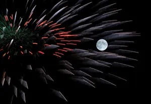 Fireworks explode in front of the full moon during celebrations marking the feast of the Fireworks explode in front of the full moon during celebrations marking the feast of the