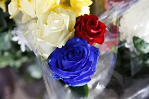 A floral tribute of roses in the colours of Frances national flag is left in memory of A floral tribute of roses in the colours of Frances national flag is left in memory of