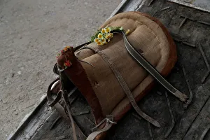 Flowers are seen on a saddle of a donkey before the procession of the Virgem da Atalaia Flowers are seen on a saddle of a donkey before the procession of the Virgem da Atalaia