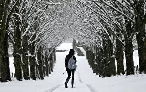A girl walks along a road under snow-covered trees in Moulin