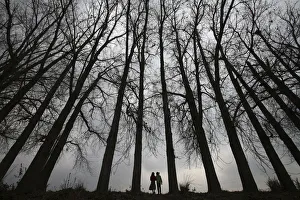 Girls walk beneath a row of parched tress on a winter day in the outskirts of Jammu Girls walk beneath a row of parched tress on a winter day in the outskirts of Jammu