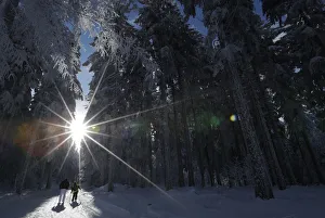 A group of cross-country skiers enjoy a cold and sunny winters day at the Champ du Feu A group of cross-country skiers enjoy a cold and sunny winters day at the Champ du Feu