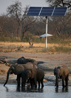 A group of elephants are seen at a watering hole inside Hwange National Park A group of elephants are seen at a watering hole inside Hwange National Park