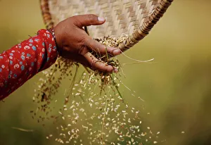 Nepal Gallery: 