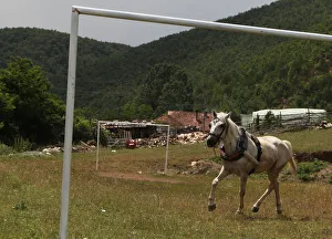A horse plays with a ball at a soccer field in the village of Nerodime A horse plays with a ball at a soccer field in the village of Nerodime