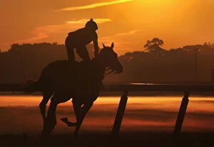 Images Dated 8th June 2012: A horse and its rider are seen in silhouette during early morning workouts at Belmont