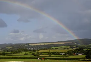 Horses graze in a field as a rainbow forms behind in Exmoor National Park, near Minehead Horses graze in a field as a rainbow forms behind in Exmoor National Park, near Minehead