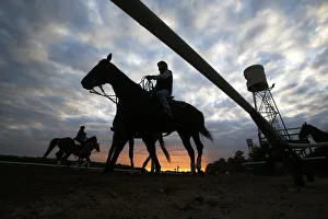 Horses are seen in silhouette making their way to the track for morning workouts at Horses are seen in silhouette making their way to the track for morning workouts at