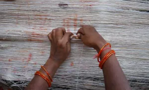 Print of a married Hindu woman performing Vat Savitri ritual