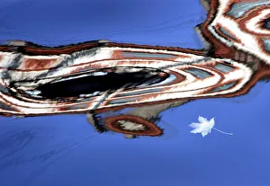 A leaf drifts in the water of the Moika canal that reflects the window of a building A leaf drifts in the water of the Moika canal that reflects the window of a building