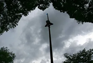 A man attempts to climb a greased wooden pole to reach a flag for a cash prize in A man attempts to climb a greased wooden pole to reach a flag for a cash prize in