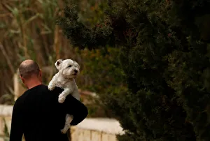 A man carries his pet dog while walking in Marsaxlokk A man carries his pet dog while walking in Marsaxlokk