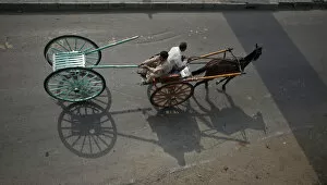 Images Dated 20th November 2011: A man pulls a newly purchased cart while travelling in another horse-cart through