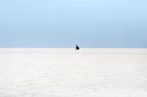 Images Dated 26th August 2008: A man rides a bicycle on the surface of the worlds largest salt flat, the Salar de Uyuni