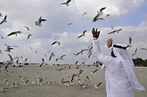A man throws bread to seagulls at a beach in Jumeirah in Dubai