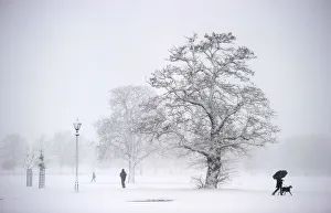 A man walks his dog across Clapham Common as heavy snow falls on London A man walks his dog across Clapham Common as heavy snow falls on London