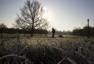 A man walks a dog on a frosty morning in Primrose Hill in north London A man walks a dog on a frosty morning in Primrose Hill in north London