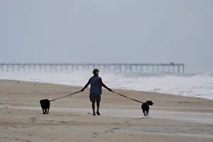 A man walks his dogs before Hurricane Florence comes ashore on Carolina Beach A man walks his dogs before Hurricane Florence comes ashore on Carolina Beach