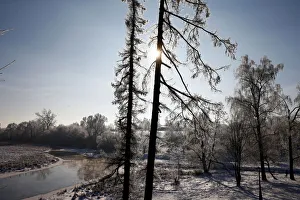 Man walks on a frosty winter day at a park in Minsk Man walks on a frosty winter day at a park in Minsk