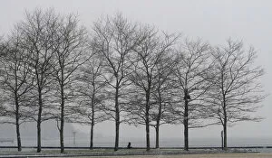 Images Dated 7th January 2011: A man walks in a park along the Hudson River across from Manhattan in Hoboken, New Jersey