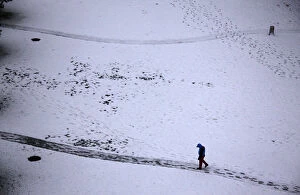 Images Dated 4th November 2012: A man walks along a path as he looks at tracks left in snow after an overnight snowfall