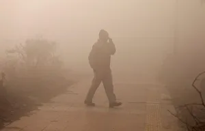 A man walks on a pedestrian path on a foggy winter morning in New Delhi A man walks on a pedestrian path on a foggy winter morning in New Delhi
