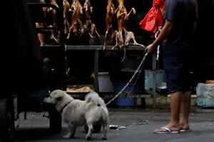 A man walks with his pet dog as he talks to a vendor during the local dog meat festival