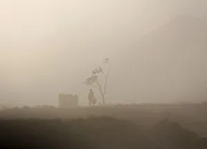 A man walks next to a tree during a dust storm in Kabul, Afghanistan A man walks next to a tree during a dust storm in Kabul, Afghanistan