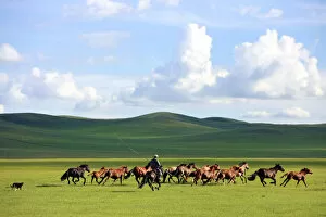 Images Dated 17th July 2013: A man whips a herd of horses in Xilin Gol League