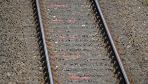 Marked railroad ties are pictured close to the scene where they found a body near Marked railroad ties are pictured close to the scene where they found a body near