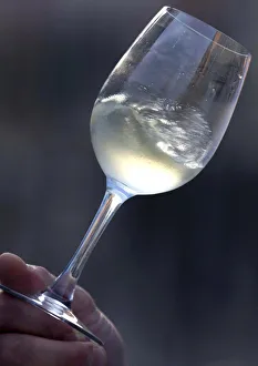 To match feature PROSECCO-WINE/ To match feature PROSECCO-WINE/