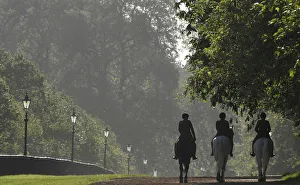 Members of the Household Cavalry are seen riding in the early morning in Hyde Park in Members of the Household Cavalry are seen riding in the early morning in Hyde Park in