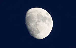 A moon in its waxing gibbous phase shines above Harpenden A moon in its waxing gibbous phase shines above Harpenden