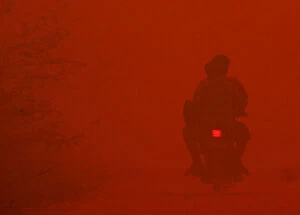Indonesia Gallery: A motorcyclist passes through haze near burnt peat land in Rokan Hilir