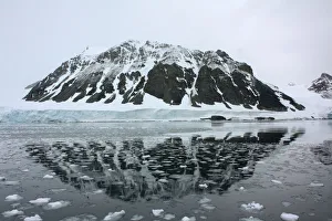 Mountain is reflected in a bay that used to be covered by the Sheldon glacier on the Mountain is reflected in a bay that used to be covered by the Sheldon glacier on the
