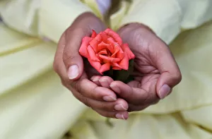 A Muslim boy holds a rose after offering Eid al-Fitr prayers marking the end of the A Muslim boy holds a rose after offering Eid al-Fitr prayers marking the end of the