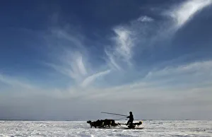 A Nenets man rides a reindeer sledge near a settlement in Tundra region A Nenets man rides a reindeer sledge near a settlement in Tundra region