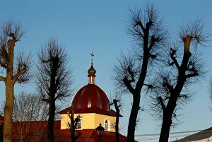 Country Gallery: 
