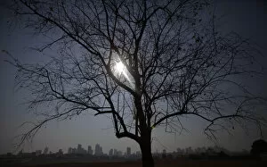 Images Dated 26th August 2010: A parched tree is silhouetted in the hazy cityscape of Cuiaba