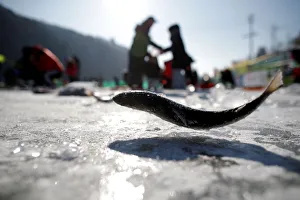 People fish for trout on a frozen river during the Ice Festival in Hwacheon People fish for trout on a frozen river during the Ice Festival in Hwacheon