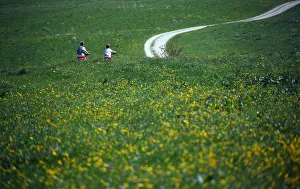 People ride their bicycles during a sunny day in Warngau People ride their bicycles during a sunny day in Warngau