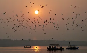 People travel in boats as sun sets for last time in 2008 in Allahabad People travel in boats as sun sets for last time in 2008 in Allahabad