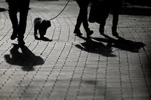 People walk a dog during the start of winter sales in downtown Strasbourg People walk a dog during the start of winter sales in downtown Strasbourg