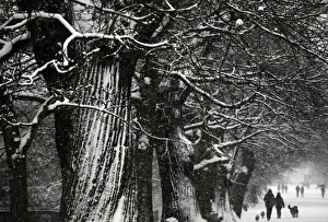 People walk through the snow covered Greenwich Park in London People walk through the snow covered Greenwich Park in London