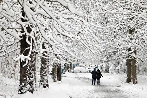 People walk on a snow-covered path in the Bois de Vincennes in Paris, France People walk on a snow-covered path in the Bois de Vincennes in Paris, France